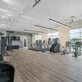 1 bedroom apartment for rent in Hyde Park Tampa - Central Tampa, Tampa