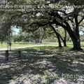 2 bedrooms apartment for rent in Ballast Point - South Tampa, Tampa