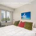 2 bedrooms apartment for rent in Bronzeville - Central, Chicago