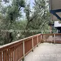 3 bedrooms apartment for rent in Buckman - SE Portland, Portland