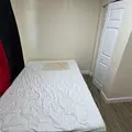 Coliving in Kenwood - Clearwater-St. Petersburg, Tampa