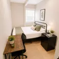 Coliving in Kenwood - Clearwater-St. Petersburg, Tampa