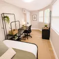 Coliving in Kenwood - Clearwater-St. Petersburg, Tampa