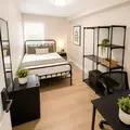 Coliving in Kenwood - Clearwater-St. Petersburg, Tampa