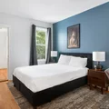 Coliving in Allston - Boston, Boston