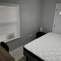 Coliving in Clearwater - Clearwater-St. Petersburg, Tampa