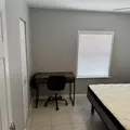 Coliving in Clearwater - Clearwater-St. Petersburg, Tampa