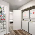 Coliving in Cedar Crest - Se Dallas, Dallas