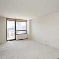 2 bedrooms apartment for rent in Uptown - Far North Side, Chicago