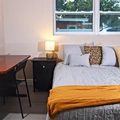 Coliving in University Square - North Tampa, Tampa