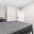 Coliving in East Baltimore - Baltimore Metro Area, Washington DC