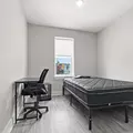 Coliving in East Baltimore - Baltimore Metro Area, Washington DC