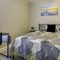 Coliving in Lowry Park North - North Tampa, Tampa