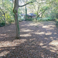 Coliving in Lakewood Heights - South Atl, Atlanta
