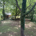 Coliving in Lakewood Heights - South Atl, Atlanta