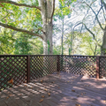 Coliving in Lakewood Heights - South Atl, Atlanta