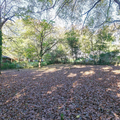 Coliving in Lakewood Heights - South Atl, Atlanta