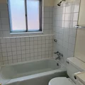 2 bedrooms apartment for rent in Northeast Colorado Springs - North COS, Colorado Springs