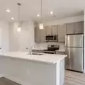 1 bedroom apartment for rent in Montrose - Inner Loop, Houston