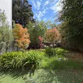 3 bedrooms apartment for rent in Mission District - San Francisco, San Francisco