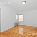 1 bedroom apartment for rent in Woodlawn - South Side, Chicago