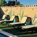 Coliving in Las Vegas - Las Vegas, Las Vegas