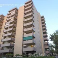 2 bedrooms apartment for rent in Alamo Placita - Center Denver, Denver