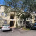 1 bedroom apartment for rent in Temple Terrace - North Tampa, Tampa