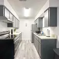 Coliving in Clearwater - Clearwater-St. Petersburg, Tampa