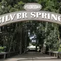 Coliving in Ocala - Outer Orlando, Orlando