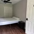 Coliving in Clearwater - Clearwater-St. Petersburg, Tampa