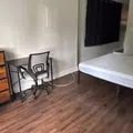 Coliving in Clearwater - Clearwater-St. Petersburg, Tampa