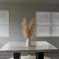 Coliving in Oakdale - North Charlotte, Charlotte