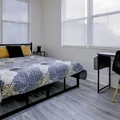 Coliving in Macfarlane Park - West Tampa, Tampa