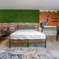 Coliving in West Arlington - Arlington, Dallas