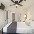 Coliving in Cedar Crest - Se Dallas, Dallas