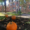 2 bedrooms apartment for rent in Poplar - North Philadelphia, Philadelphia