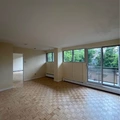 1 bedroom apartment for rent in Sandy Hill - Central Ottawa, Ottawa