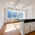 1 bedroom apartment for rent in Tribeca - Manhattan, New York