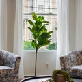 Coliving in Allston - Boston, Boston