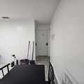 Coliving in Land O' Lakes - North Tampa, Tampa