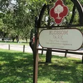 Coliving in Uptown Central - North SATX, San Antonio