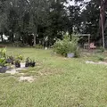 Coliving in Poinciana - South Orlando, Orlando