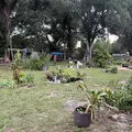 Coliving in Poinciana - South Orlando, Orlando
