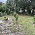 Coliving in Poinciana - South Orlando, Orlando