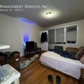 Studio Apartment for rent in Albany Park - Far North Side, Chicago