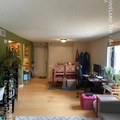 1 bedroom apartment for rent in Lowry Hill - Bde Maka Ska-Isles, Minneapolis