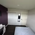 Coliving in Cedar Crest - Se Dallas, Dallas