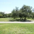 5 bedrooms apartment for rent in Far North Central - North SATX, San Antonio