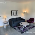 1 bedroom apartment for rent in Downtown Detroit - Central Detroit, Detroit